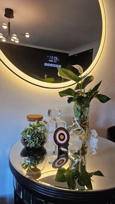 Chic Toorak Studio - Accommodation Newcastle 3