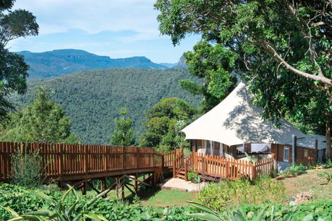 Clouds Safari - Accommodation Newcastle 4