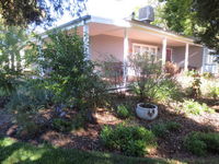Book Irymple Accommodation Vacations Accommodation Newcastle Accommodation Newcastle