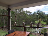 Book Upper Coomera Accommodation Vacations Accommodation Newcastle Accommodation Newcastle