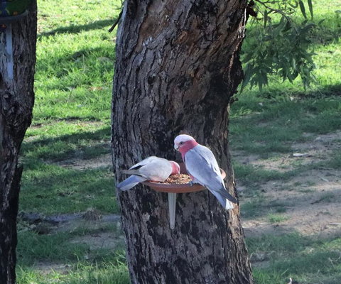 A Stanthorpe Getaway - Accommodation Newcastle 2