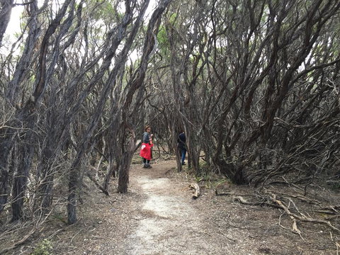 Aashay B&B - Accommodation Newcastle 3