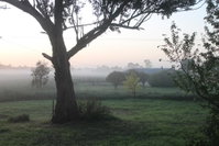 Book Heyfield Accommodation Vacations Accommodation Newcastle Accommodation Newcastle