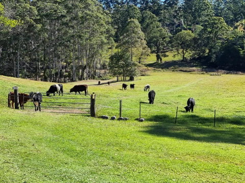 Fiery, Cozy Starry Nights - Farm Stay! - Accommodation Newcastle 2
