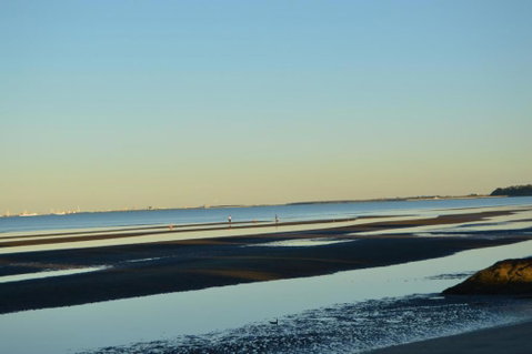 Flinders Seaside Cottage - Accommodation Newcastle 3