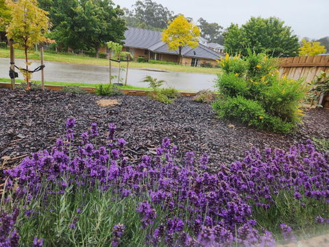 Getaway On Amaroo Way - Accommodation Newcastle 1
