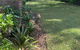 Glenridge, A Private Apartment Set In The Bush - thumb 4