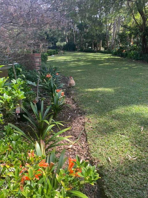 Glenridge, A Private Apartment Set In The Bush - Accommodation Newcastle 4