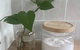 Gorgeous Arthouse Queenslander In Ipswich - thumb 3