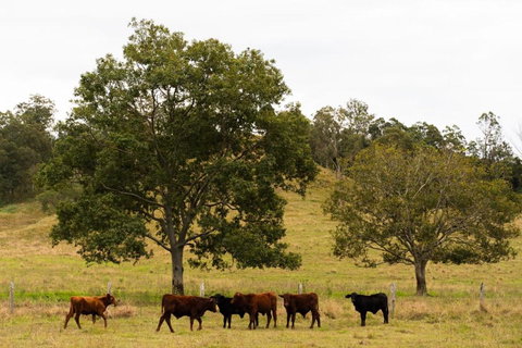 Hampson Farm Stay Hill Top By Tiny Away - Accommodation Newcastle 3