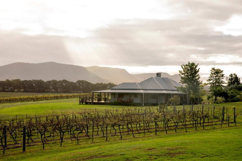 Hanging Tree Wines - Accommodation Newcastle 1
