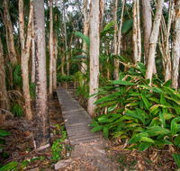 Agnes Palms Accommodation - Accommodation Newcastle