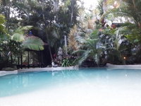 Book Eudlo Accommodation Vacations Accommodation Newcastle Accommodation Newcastle