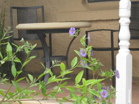 Amalie Cottage Waikerie - Accommodation Newcastle 0