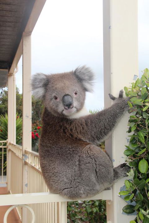 Angela's Beach Stays - Accommodation Newcastle 3