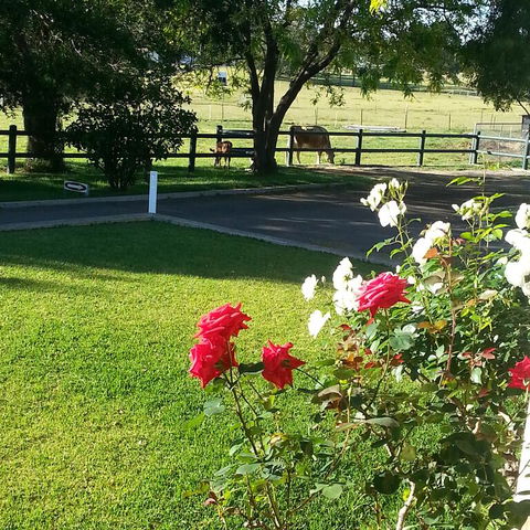 Appin Homestay B & B - Accommodation Newcastle 3
