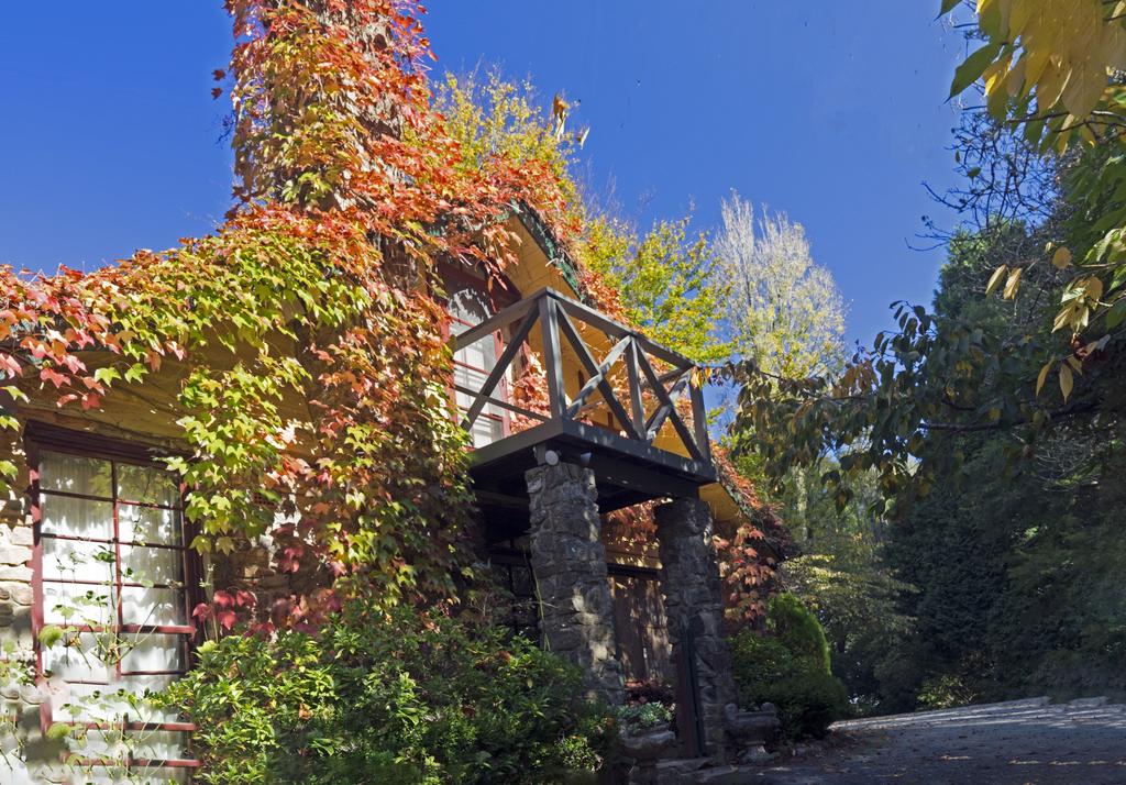 Mount Dandenong VIC Accommodation Newcastle