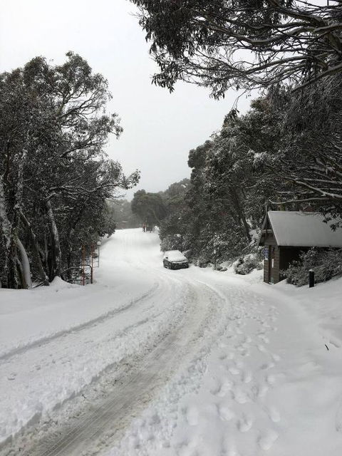 MAGNIFICENT SKIING ON MOUNT BULLER - Accommodation Newcastle 3