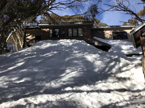 MAGNIFICENT SKIING ON MOUNT BULLER - Accommodation Newcastle 1