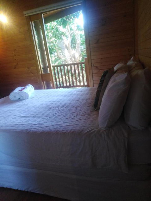 Mango Cottage - Accommodation Newcastle 2