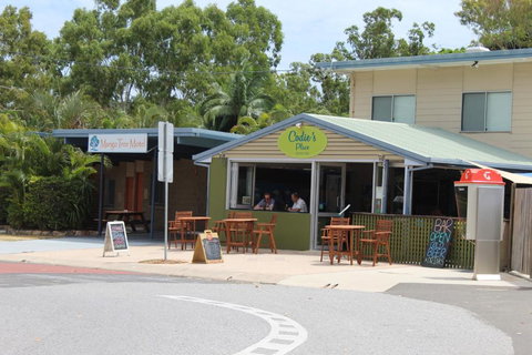 Mango Tree Motel - Accommodation Newcastle 3