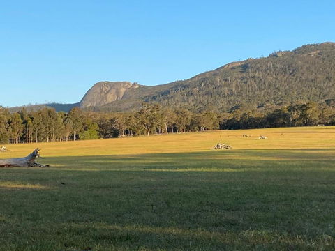 Manyat Peak Cottages Boobook - Accommodation Newcastle 0