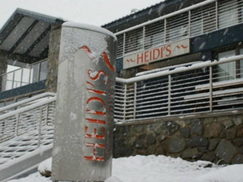 Mountain View Chalet At Heidis - Accommodation Newcastle 1