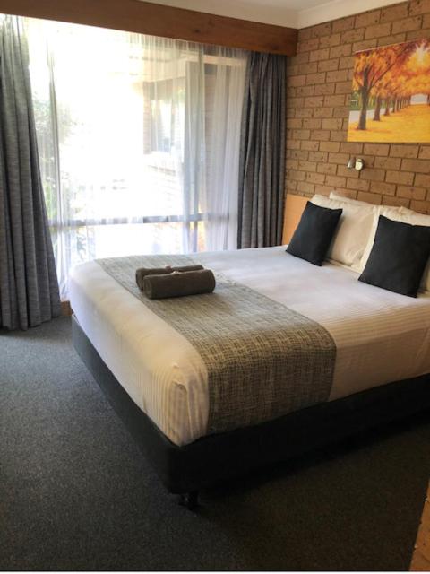 Muswellbrook Motor Inn - Accommodation Newcastle 2