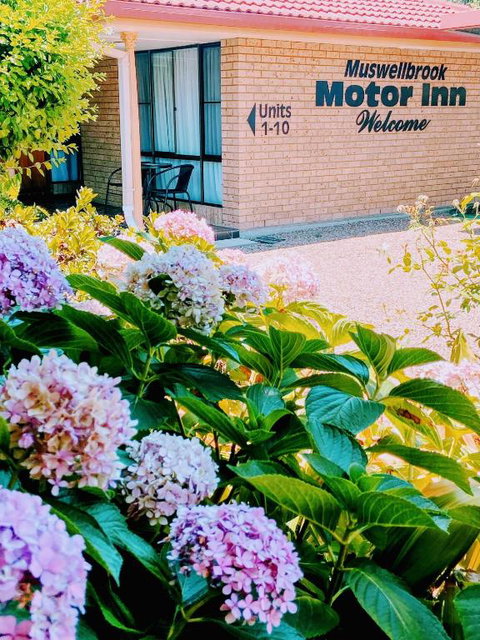 Muswellbrook Motor Inn - Accommodation Newcastle 0