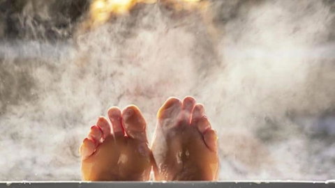 Nungaroo Cottage - Accommodation Newcastle 3