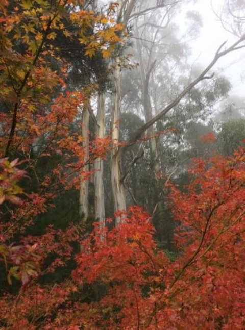 Olinda Enchanted Tower Spa Gas Log Fire And Netflix - Accommodation Newcastle 2