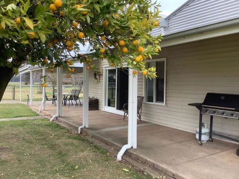 Orange Tree Cottage - Accommodation Newcastle 0