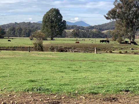Orange Tree Cottage - Accommodation Newcastle 3