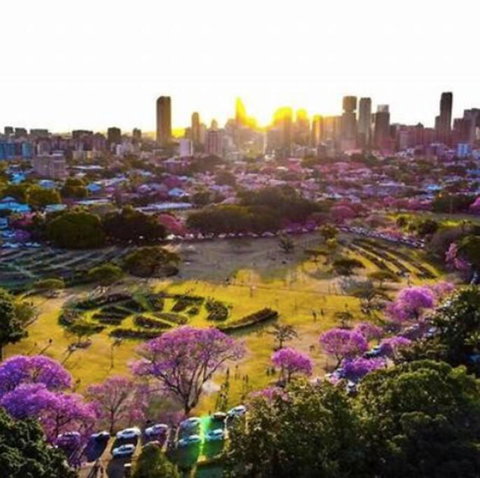 Perfect Haven In Spring Hill 2B1B And Parking - Accommodation Newcastle 2