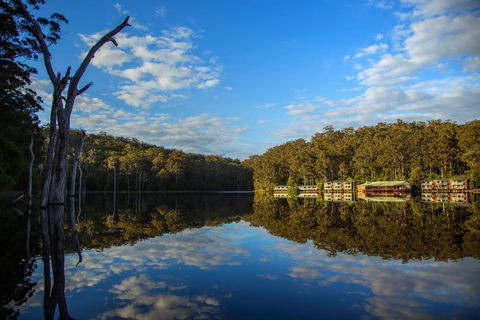 RAC Karri Valley Resort - Accommodation Newcastle 3
