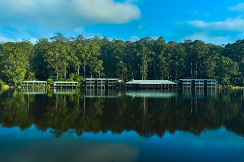 RAC Karri Valley Resort - Accommodation Newcastle 2