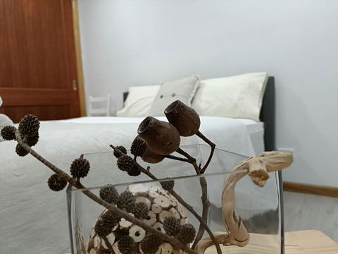 Quiet Nature-Filled Ground Floor Unit - Accommodation Newcastle 1