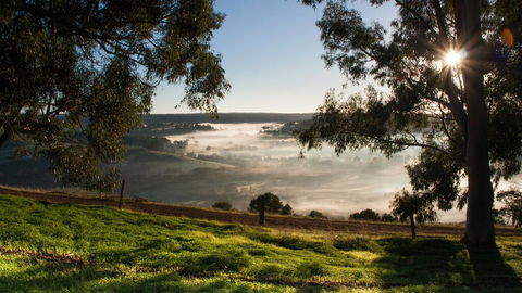 Balingup Heights Hilltop Forest Cottages - Accommodation Newcastle 0