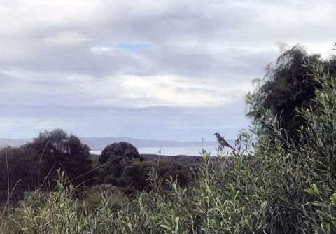 Banksia @ Cosy Corner - Accommodation Newcastle 1