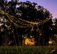 Banyan Tree - Accommodation Newcastle