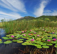 Barrington Hideaway- River Cottages - Accommodation Newcastle