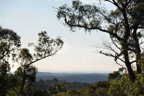 Barwidgee - Accommodation Newcastle 2