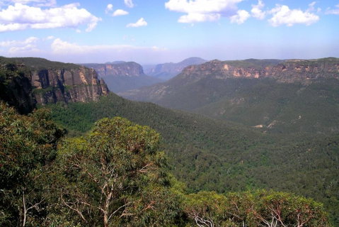 Ribbon Gum Lodge - Accommodation Newcastle 1