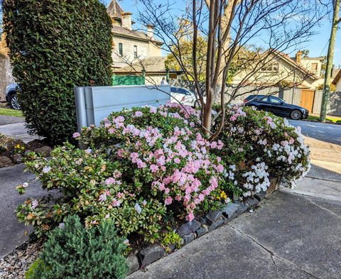 Riverside Haven On City Doorstep - Accommodation Newcastle 1
