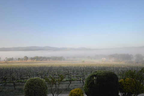 Sancerre Estate - Accommodation Newcastle 3