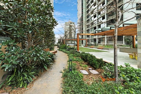 Sakura Apartment - Accommodation Newcastle 3