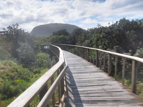 Beachside Family Entertainer - Free WIFI - Linen Included - Accommodation Newcastle 1