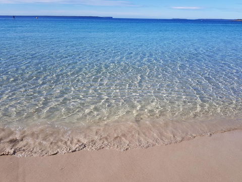 Beachside Husky Waterfront Cabin - Accommodation Newcastle 0