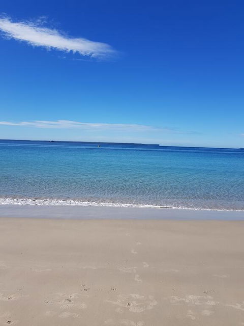Beachside Husky Waterfront Cabin - Accommodation Newcastle 3