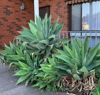 Beautiful Bedroom in Bentleigh East - Accommodation Newcastle